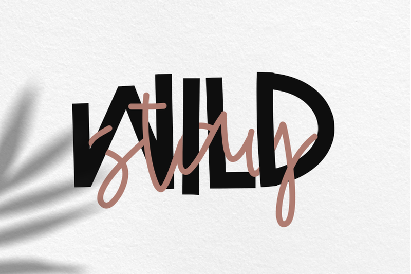 wild-one-handwritten-print-script-font-duo