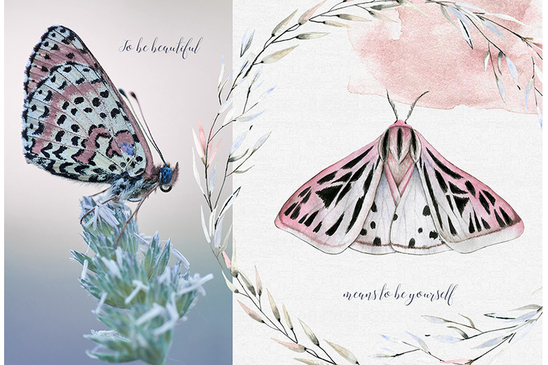 mavra-watercolor-moths-graphic-set