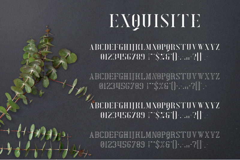 exquisite-serif-typeface-4-styles