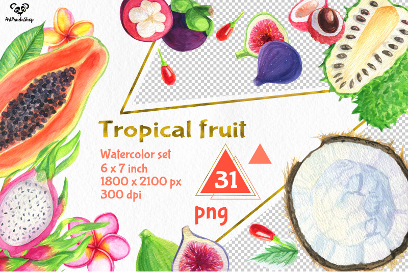 tropical-fruit-watercolor-set-1