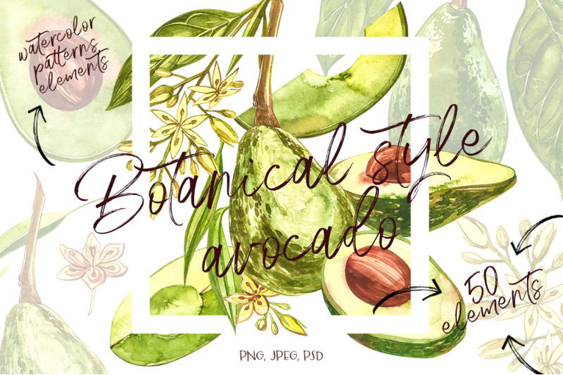 avocado-in-botanical-style