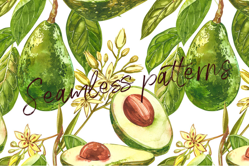 avocado-in-botanical-style