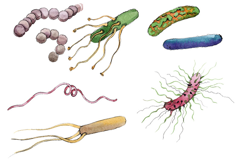 microbes-1-watercolor-png