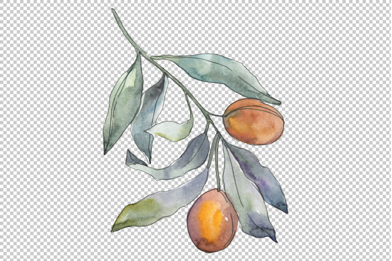 olives-3-watercolor-png