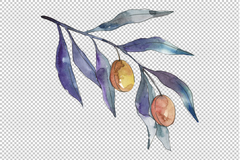 olives-3-watercolor-png