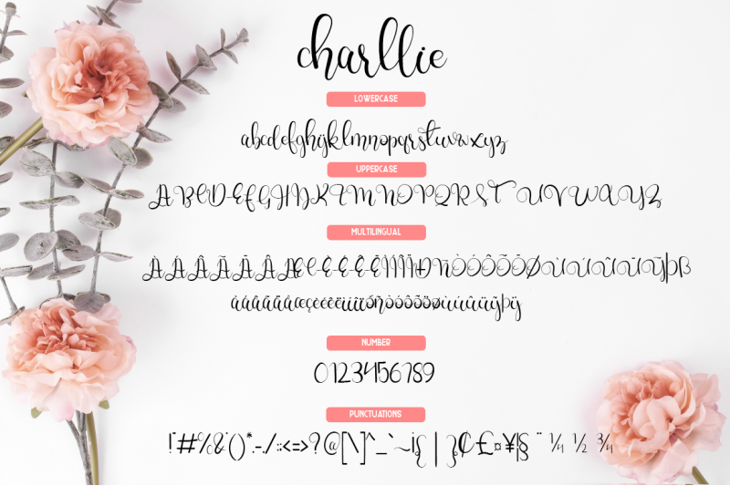 charllie-lovely-script-font