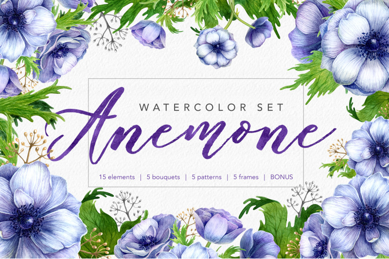 watercolor-anemone-set
