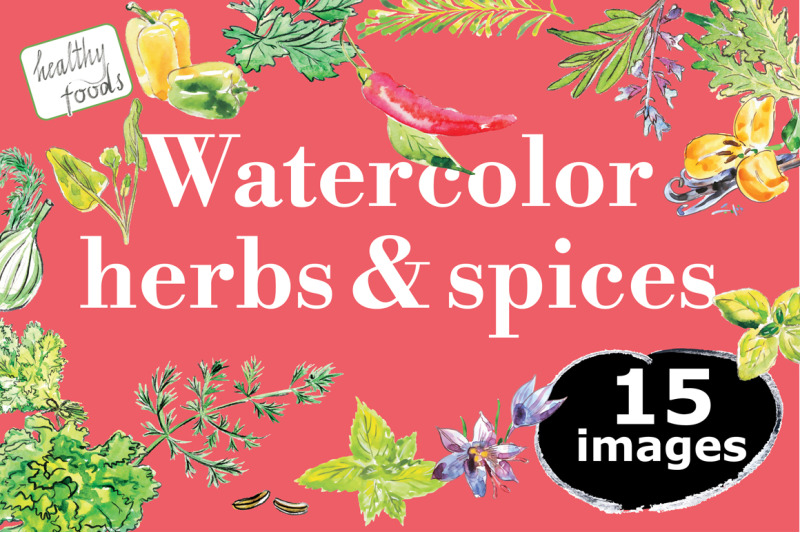 watercolor-herbs-amp-spices-collection