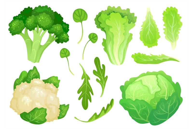 cartoon-cabbages-fresh-lettuce-leaves-vegetarian-diet-salad-and-heal