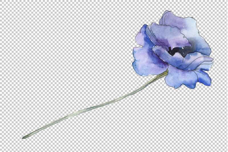 poppy-1-watercolor-png