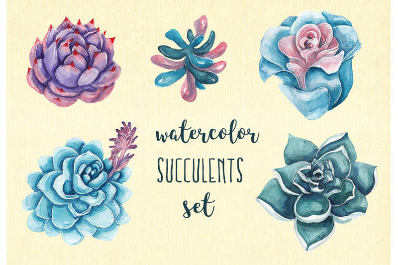 succulents-amp-gemstones-design-set