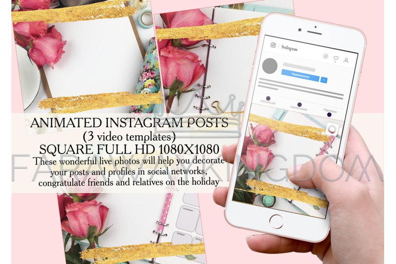 rose-golden-flower-internet-instagram-animated-template-set