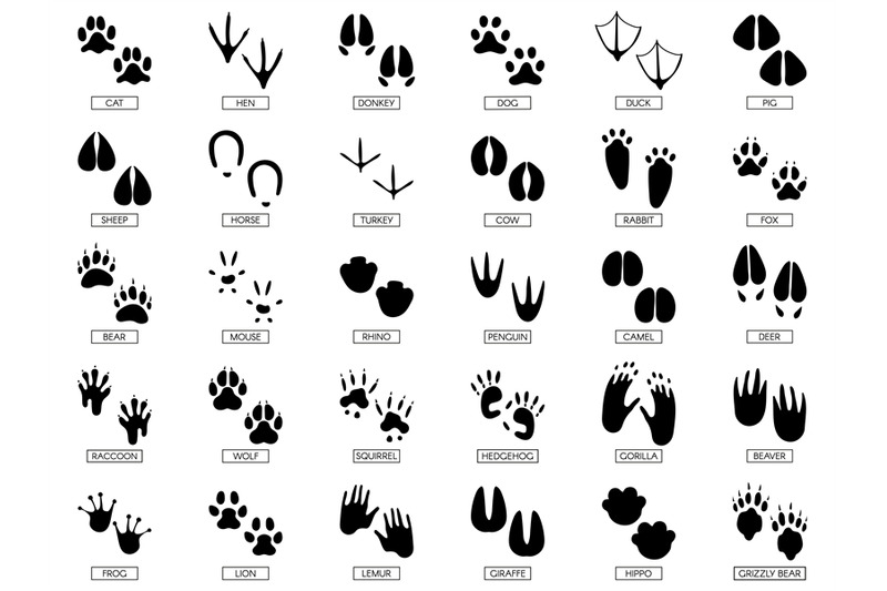 Animals Footprints Animal Feet Silhouette Frog Footprint And Pets Fo 