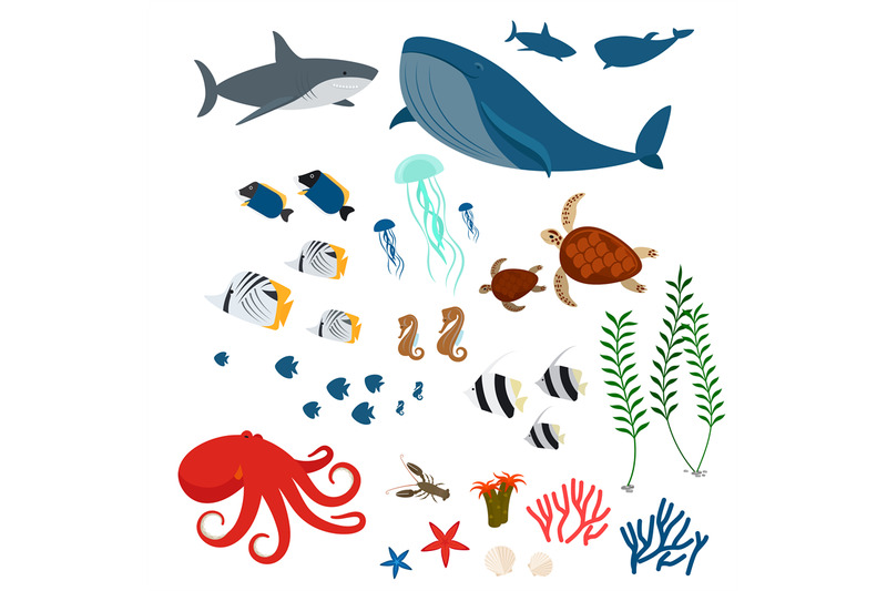 ocean-animals-and-fishes