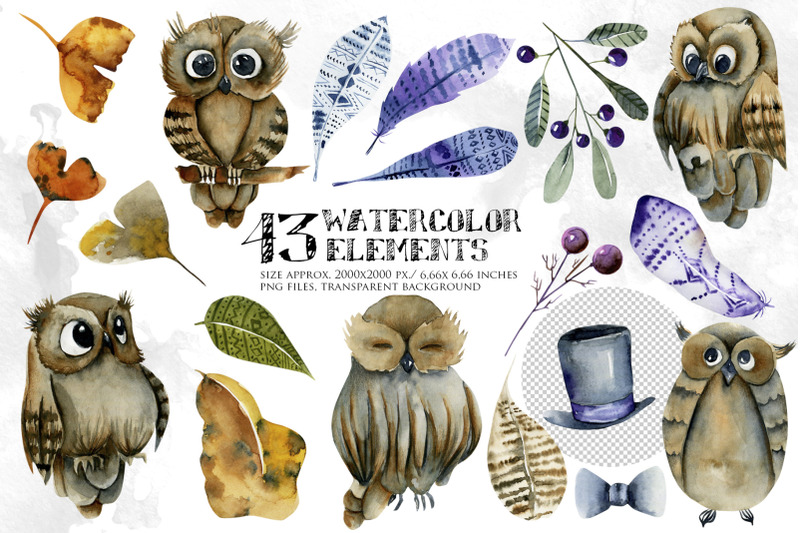 foxes-amp-owls-watercolor-clipart