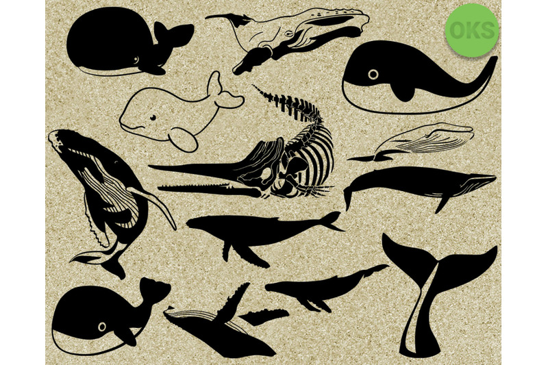 Download whale svg, svg files, vector, clipart, cricut, download By ...