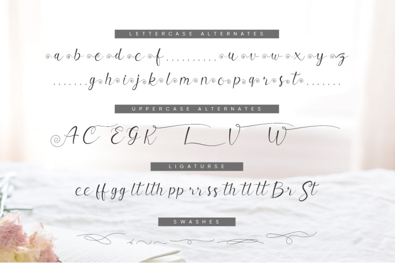 valerissa-beautiful-script-font