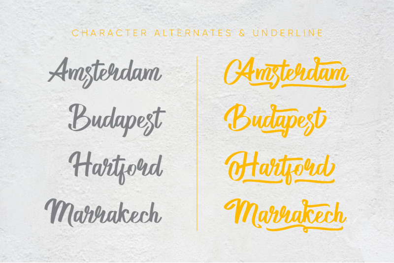 Stuttgart Script Typeface By Studioaktype Thehungryjpeg Com