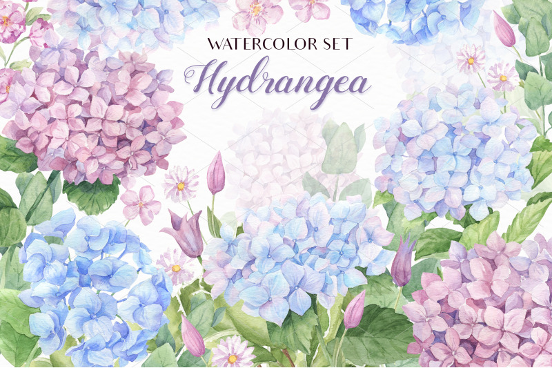 watercolor-hydrangea