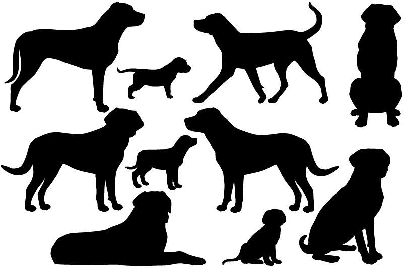 greater-swiss-mountain-dog-silhouette