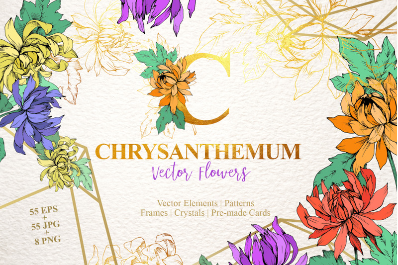 chrysanthemum-vector-flowers