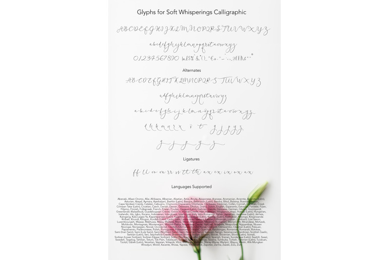 soft-whisperings-calligraphic