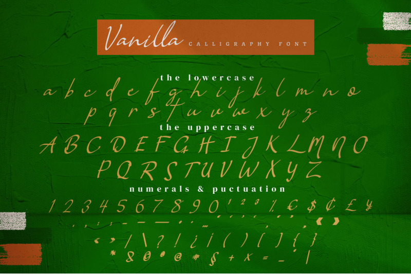 vanilla-calligraphy-script-font