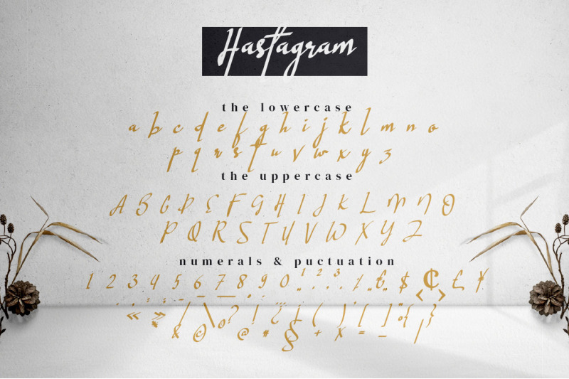 hastagram-calligraphy-script-font