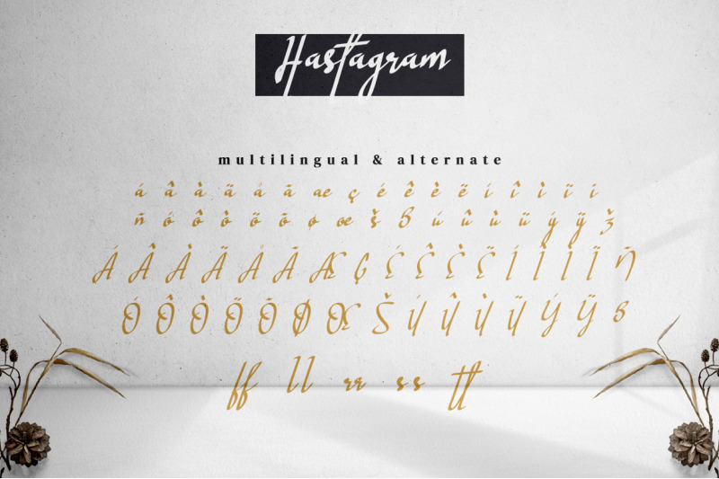 hastagram-calligraphy-script-font