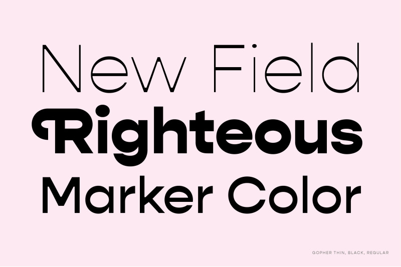 Gopher Complete Font Family By Adam Ladd