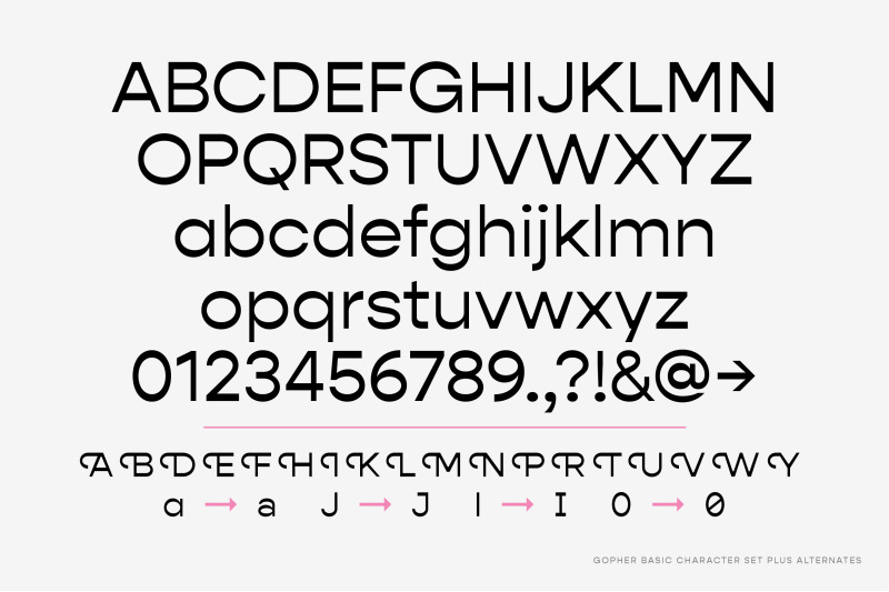 Gopher Complete Font Family By Adam Ladd Thehungryjpeg Com