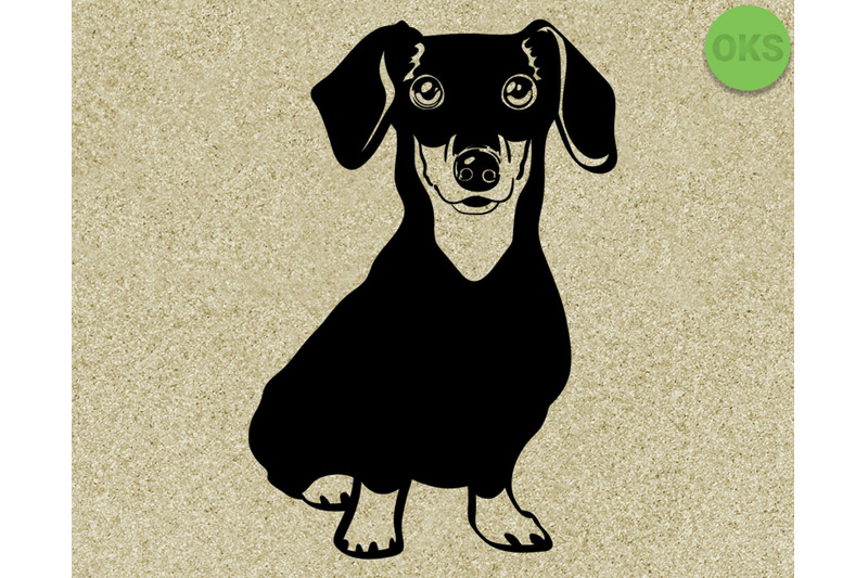 dachshund svg, svg files, vector, clipart, cricut, download By