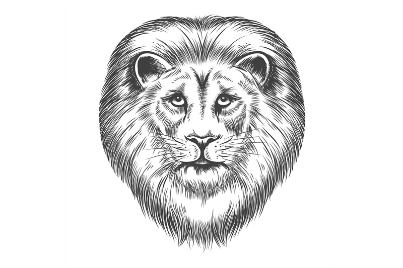 hand-drawn-lion-head