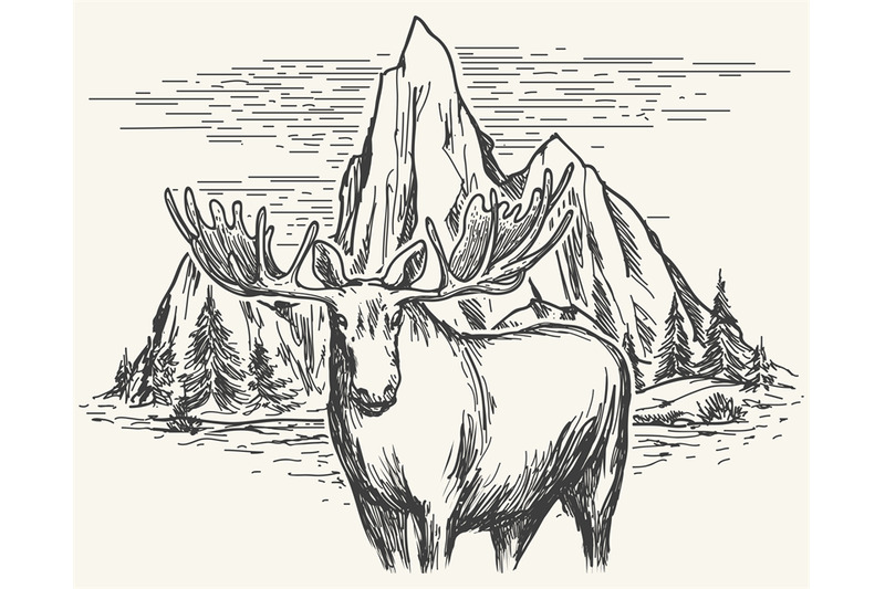 hand-drawn-landscape-with-moose