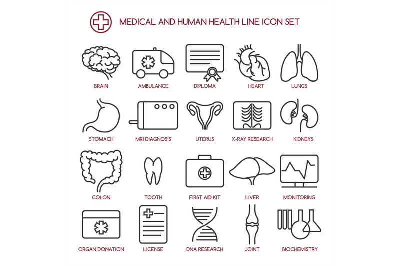 medicine-and-human-health-line-icons