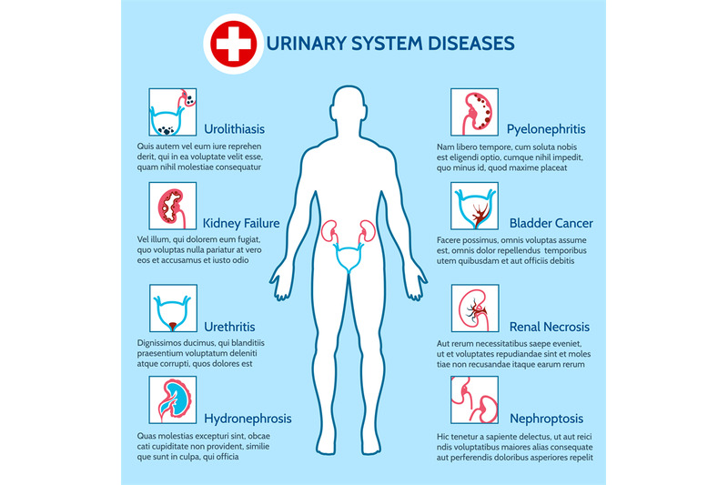urinary-system-diseases