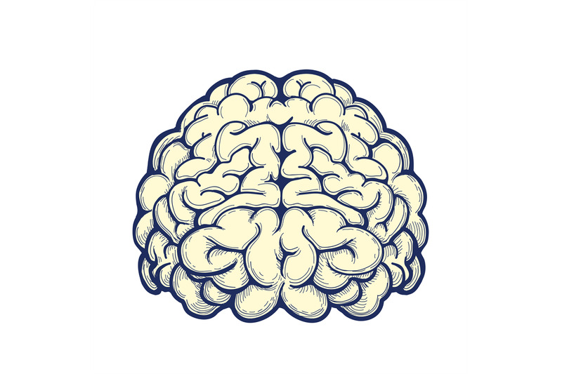 human-brain-hand-drawn-icon
