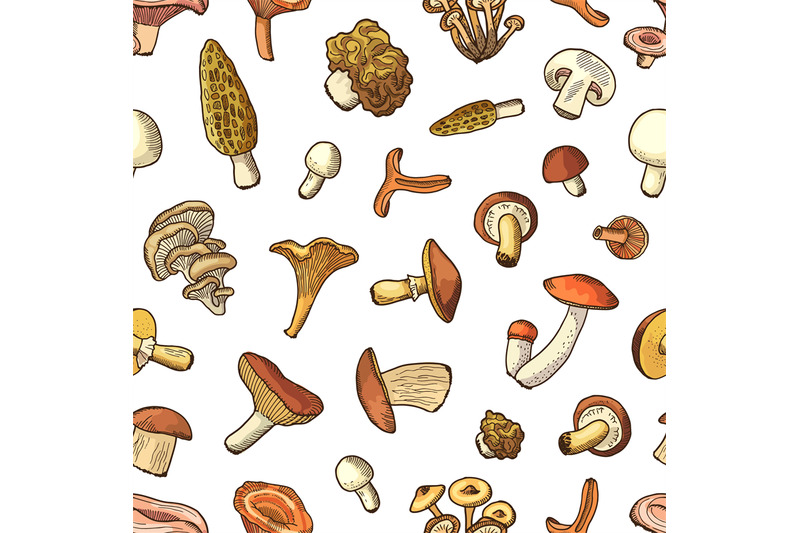vector-hand-drawn-mushrooms-background-or-pattern-illustration