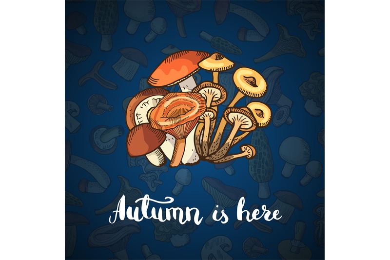 vector-hand-drawn-mushrooms-background-illustration