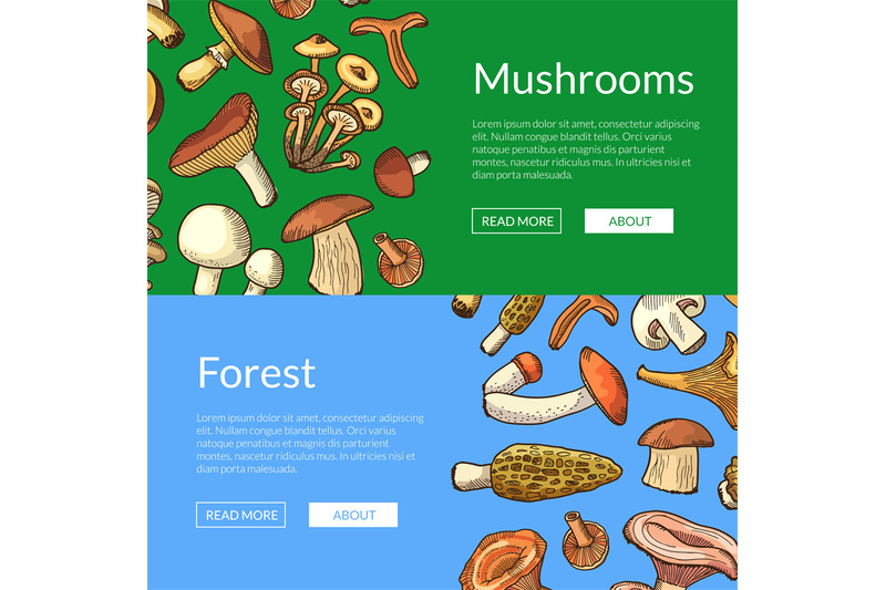 vector-hand-drawn-mushrooms-horizontal-banners