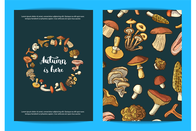 vector-hand-drawn-mushrooms-card-flyer-or-brochure-template-illustrat