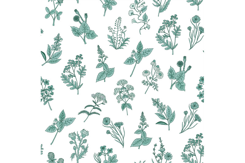 vector-hand-drawn-medical-herbs-pattern-or-background-illustration