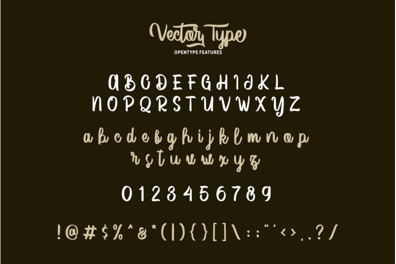 vector-type