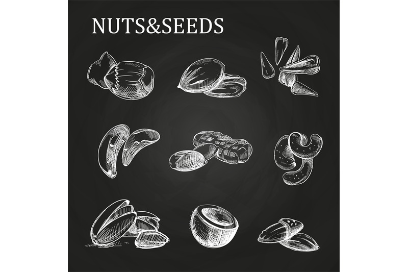 nuts-and-seeds-sketch-on-chalkboard