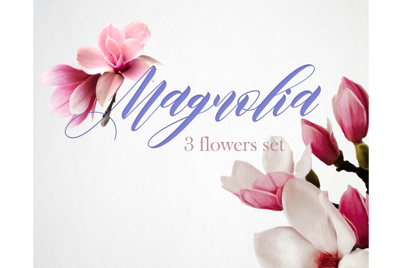 magnolia-flower-tree-oil-watercolor-paint-set