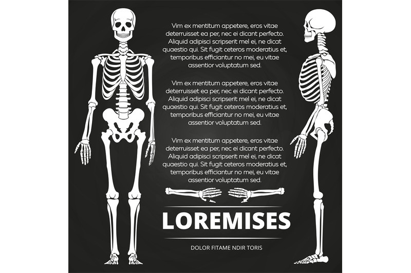 chalkboard-poster-with-human-skeletones-and-bones
