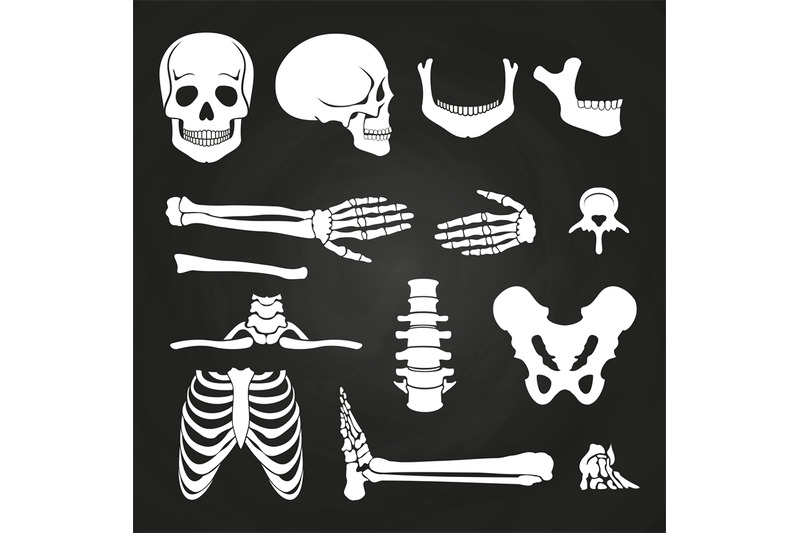 human-bones-collection-on-chalkboard