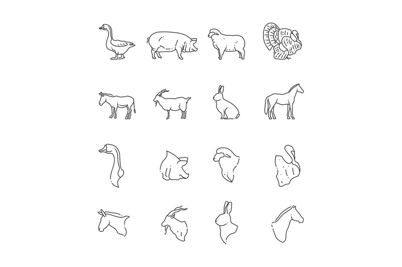 farm-birds-and-animal-line-icon-full-and-heads-of-animals