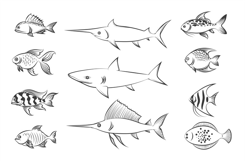 painted-fishes-set-vector-illustration