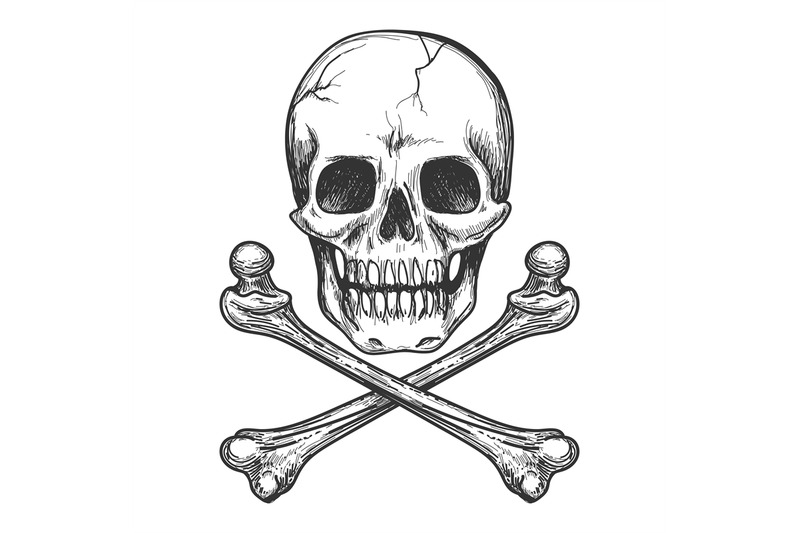 skull-and-crossbones-vector-illustration